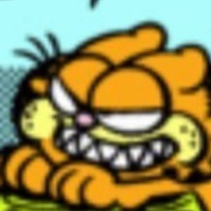 Meet your Posher, Dakota